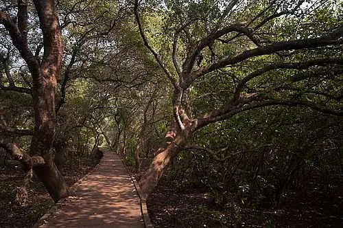 https://avathioutdoors.gumlet.io/travelGuide/dev/kakinada_P8216.jpg