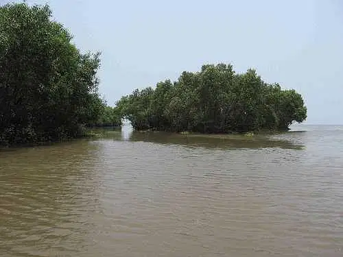 https://avathioutdoors.gumlet.io/travelGuide/dev/kakinada_P8264.jpg