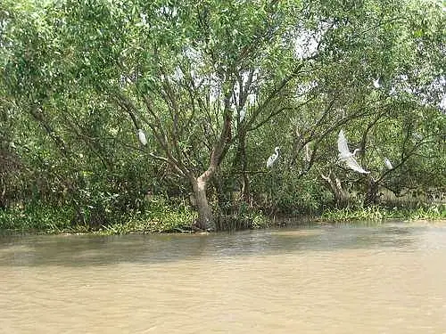 https://avathioutdoors.gumlet.io/travelGuide/dev/kakinada_P8384.jpg