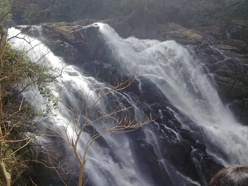 https://avathioutdoors.gumlet.io/travelGuide/dev/kalpetta_P3735.jpg