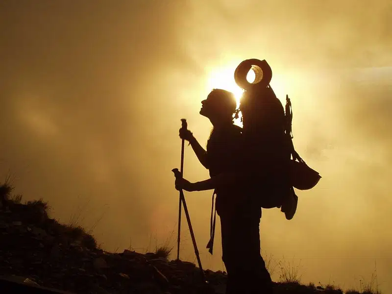 Explore Kalpetta's Scenic Viewpoints and Trekking Trails