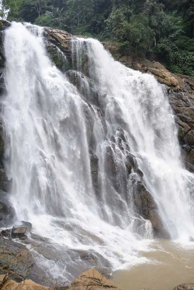 https://avathioutdoors.gumlet.io/travelGuide/dev/kalpetta_P7494.jpg