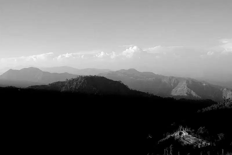 Trek to Kodai Jungle