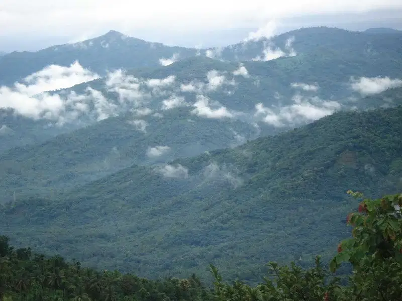 https://avathioutdoors.gumlet.io/travelGuide/dev/kannur_P2482.jpg