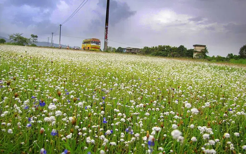 Explore Madayipara Plateau