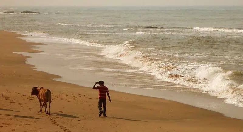 https://avathioutdoors.gumlet.io/travelGuide/dev/karwar73326.jpg