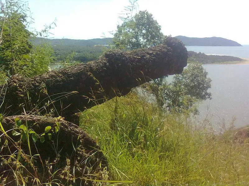 https://avathioutdoors.gumlet.io/travelGuide/dev/karwar82845.jpg