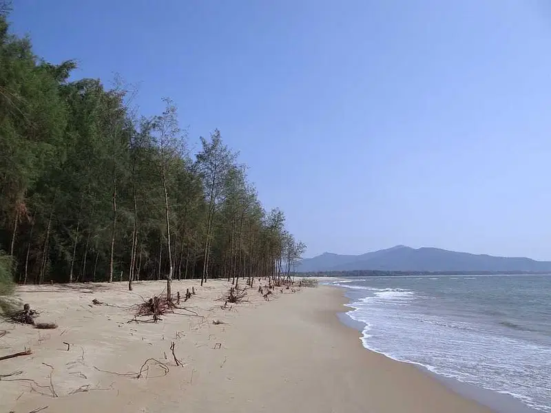 Experience Devbagh Beach
