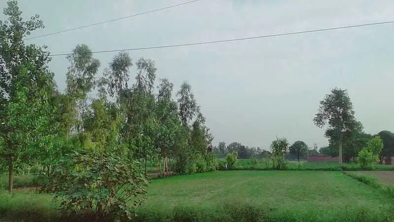Visit Ajanoor Village and Madiyan Kulom Temple
