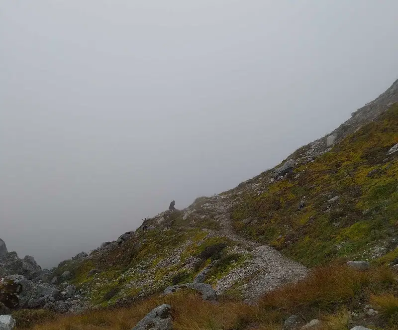 https://avathioutdoors.gumlet.io/travelGuide/dev/kedarnath_P8732.jpg