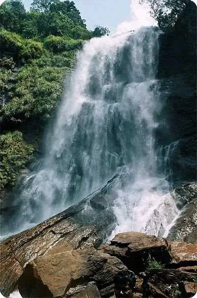 https://avathioutdoors.gumlet.io/travelGuide/dev/kemmanagundi_P7365.jpg