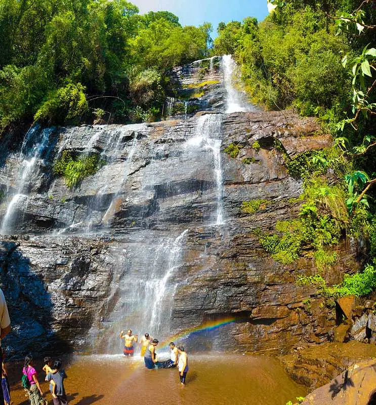 https://avathioutdoors.gumlet.io/travelGuide/dev/kemmanagundi_P9104.jpg