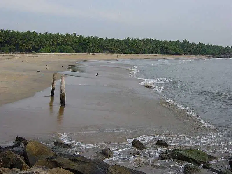 Explore Munambam Beach