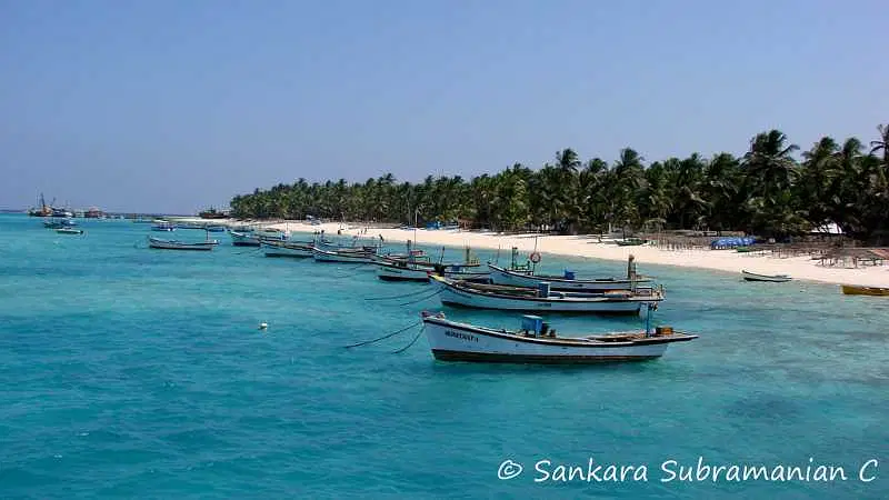 https://avathioutdoors.gumlet.io/travelGuide/dev/kochi_P1824.jpg