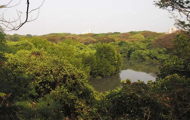 https://avathioutdoors.gumlet.io/travelGuide/dev/kochi_P2958.jpg
