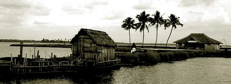 https://avathioutdoors.gumlet.io/travelGuide/dev/kochi_P8993.jpg