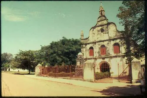 https://avathioutdoors.gumlet.io/travelGuide/dev/kochi_P9421.jpg