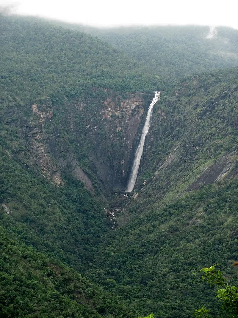 https://avathioutdoors.gumlet.io/travelGuide/dev/kodaikanal_P3205.jpg