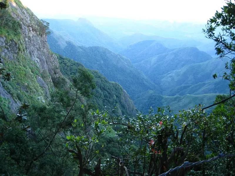 Visit Green Valley View