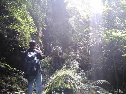 Trekking in Kodaikanal