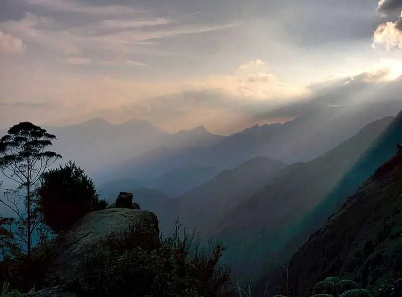 https://avathioutdoors.gumlet.io/travelGuide/dev/kodaikanal_P9041.jpg