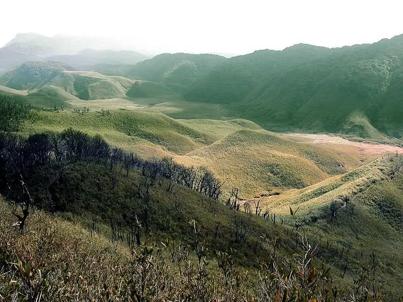 https://avathioutdoors.gumlet.io/travelGuide/dev/kohima_P3334.jpg