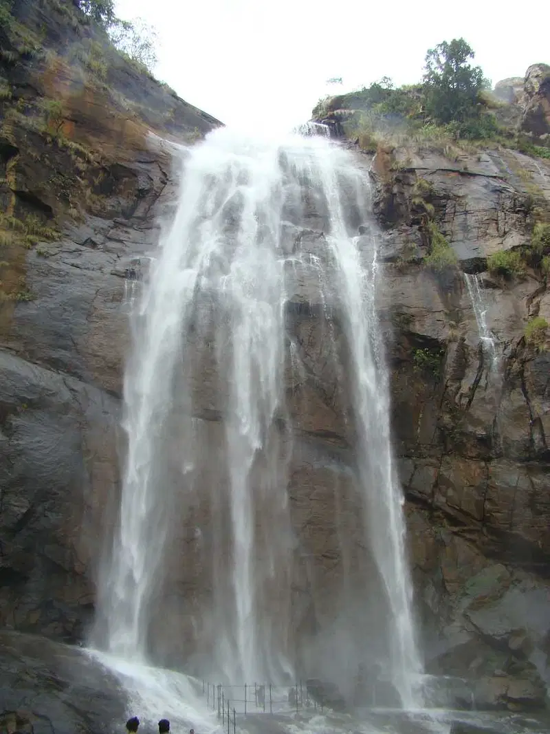 https://avathioutdoors.gumlet.io/travelGuide/dev/kolli-hills48766.jpg