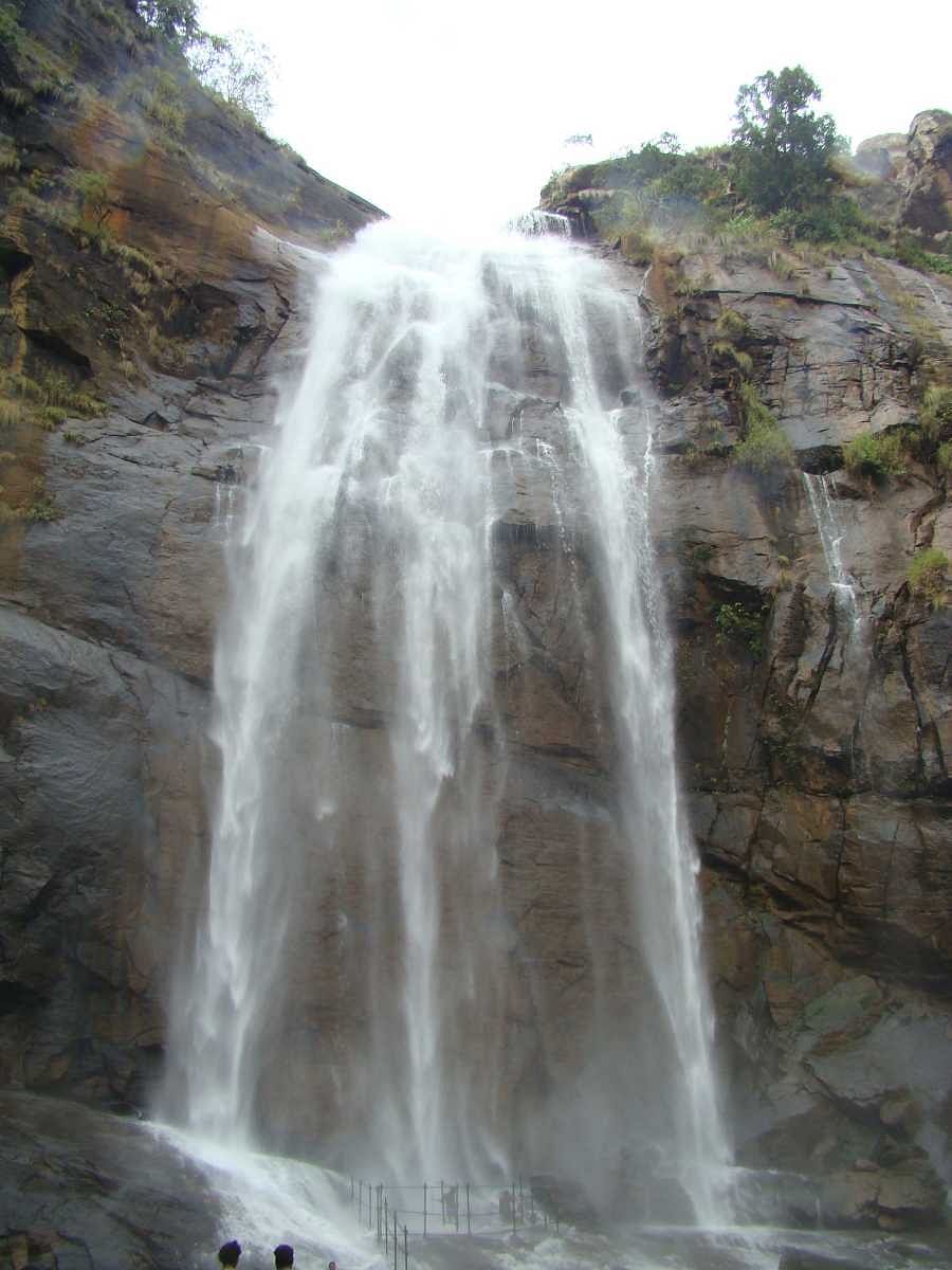 Aagaya Gangai water falls