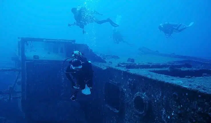 Explore the Artificial Offshore Coral Reef