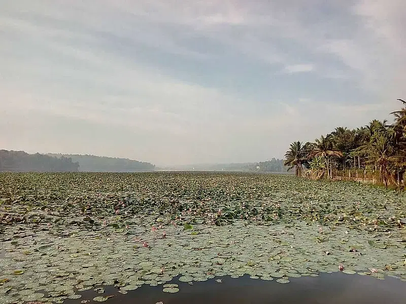 https://avathioutdoors.gumlet.io/travelGuide/dev/kovalam_P4671.jpg