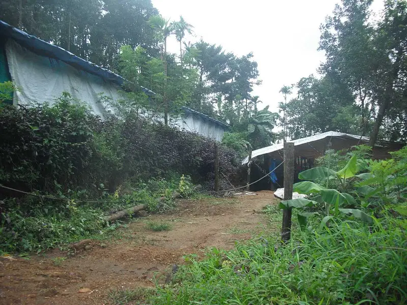 Visit Kakkadampoyil Village
