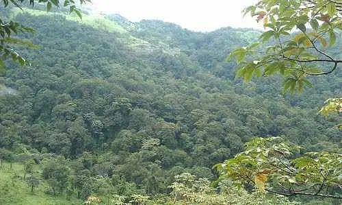 https://avathioutdoors.gumlet.io/travelGuide/dev/kozhikode_P8400.jpg