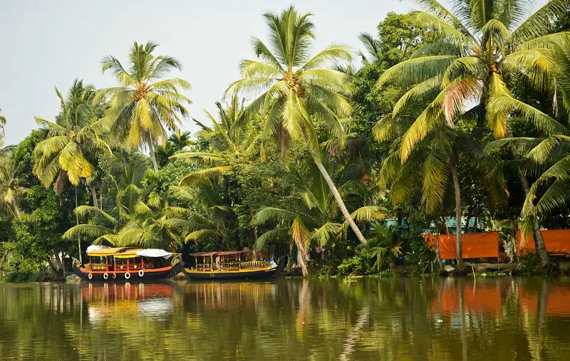 Explore Kozhikode Backwaters