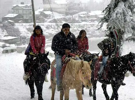 https://avathioutdoors.gumlet.io/travelGuide/dev/kufri_P8713.jpg