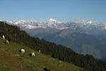 https://avathioutdoors.gumlet.io/travelGuide/dev/kullu_P5057.jpg