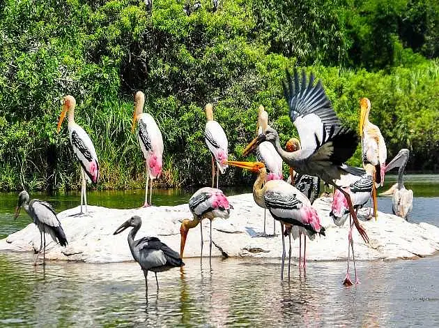 https://avathioutdoors.gumlet.io/travelGuide/dev/kumarakom_P3250.jpg