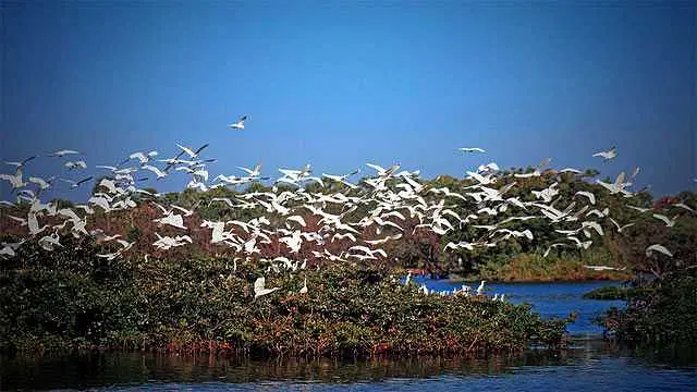 https://avathioutdoors.gumlet.io/travelGuide/dev/kumarakom_P6727.jpg