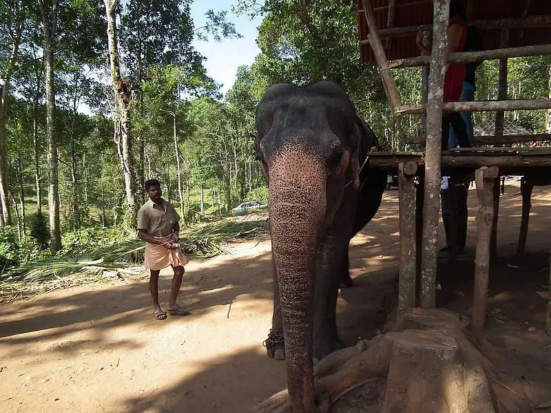 https://avathioutdoors.gumlet.io/travelGuide/dev/kumily18315.jpg