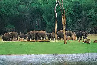 https://avathioutdoors.gumlet.io/travelGuide/dev/kumily41057.jpg