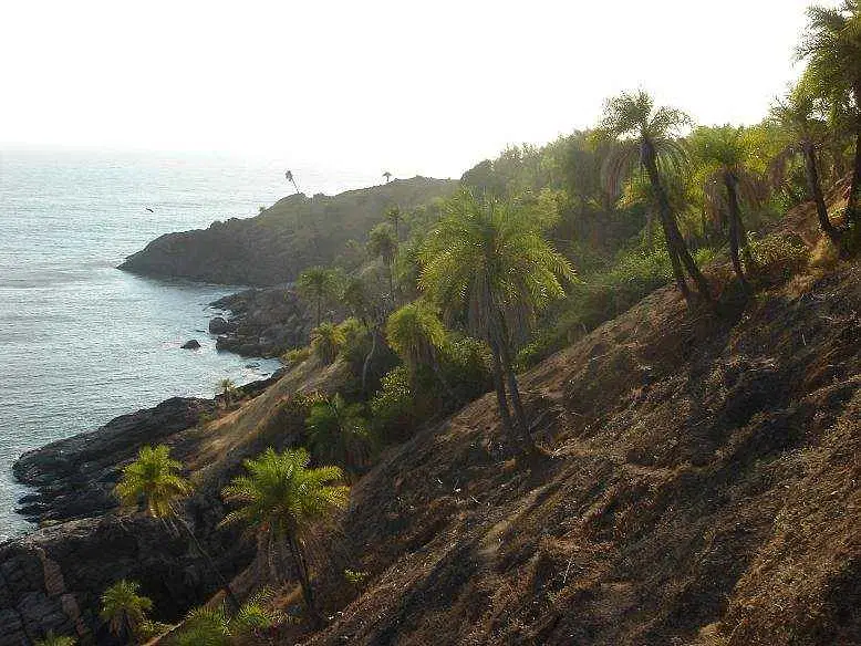 https://avathioutdoors.gumlet.io/travelGuide/dev/kumta58009.jpg