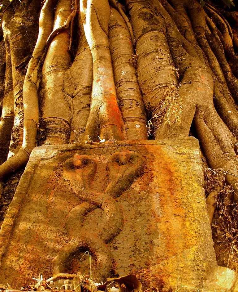 https://avathioutdoors.gumlet.io/travelGuide/dev/kumta80585.jpg
