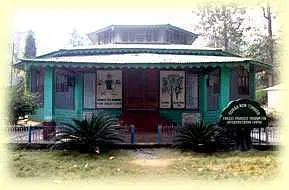 Explore the Forest Museum