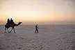https://avathioutdoors.gumlet.io/travelGuide/dev/kutch_P3350.jpg