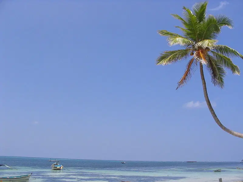 https://avathioutdoors.gumlet.io/travelGuide/dev/lakshadweep-islands_P9254.jpg