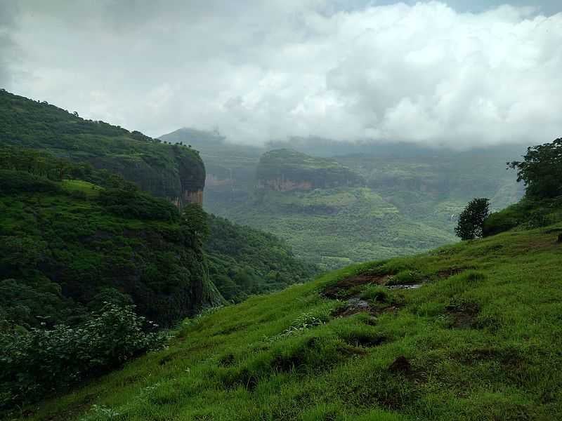 Jungle Resorts, Farm Stays & Outdoor Adventures near Bangalore | Avathi