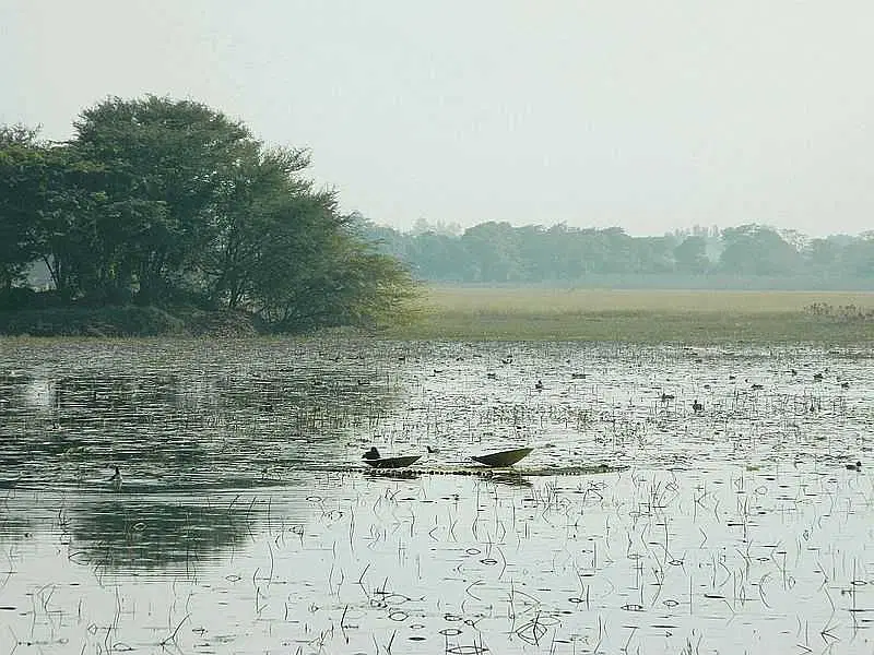 https://avathioutdoors.gumlet.io/travelGuide/dev/lucknow_P9803.jpg