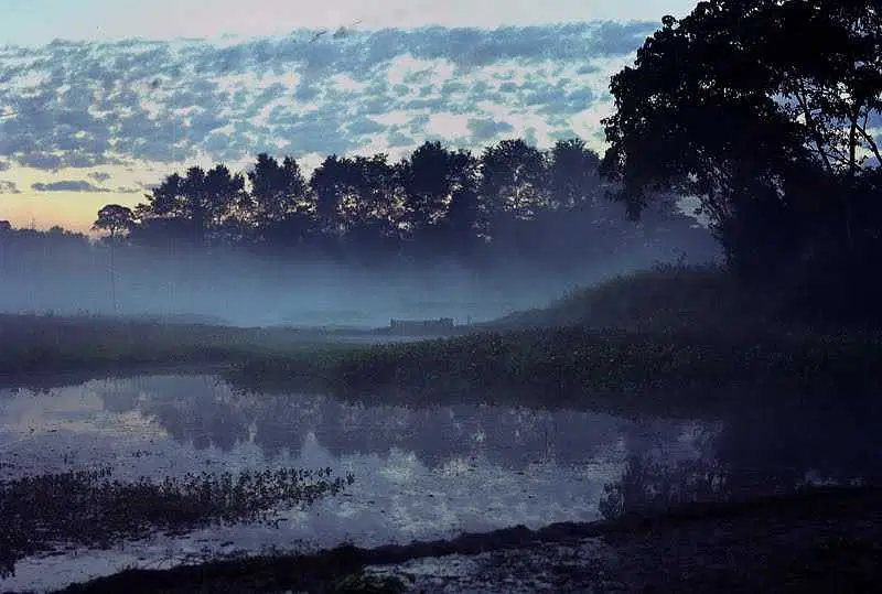 https://avathioutdoors.gumlet.io/travelGuide/dev/majuli16013.jpg