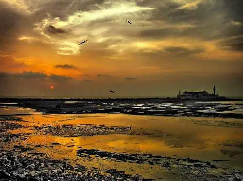 https://avathioutdoors.gumlet.io/travelGuide/dev/mumbai_P3872.jpg