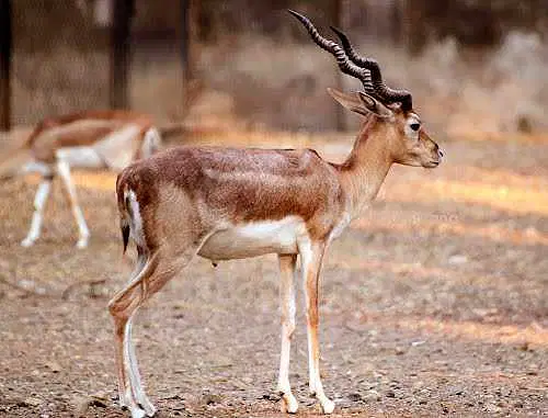 https://avathioutdoors.gumlet.io/travelGuide/dev/mumbai_P4062.jpg