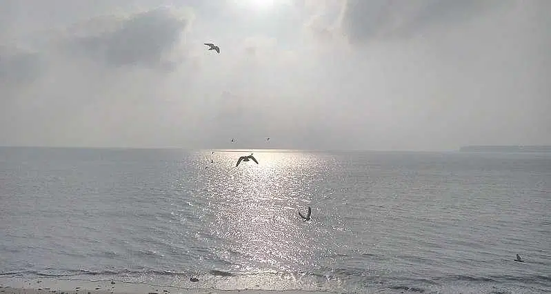 https://avathioutdoors.gumlet.io/travelGuide/dev/mumbai_P4157.jpg